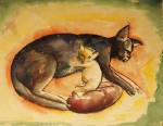 07 Animals