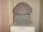 Museum (63).JPG