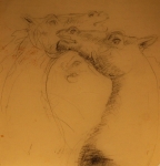 197 (13x12).JPG