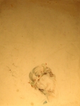 372 (19x15).JPG