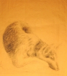 378 (21x19).JPG
