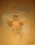 408 (25x20) - DBL.JPG