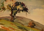 195 (15x11).JPG